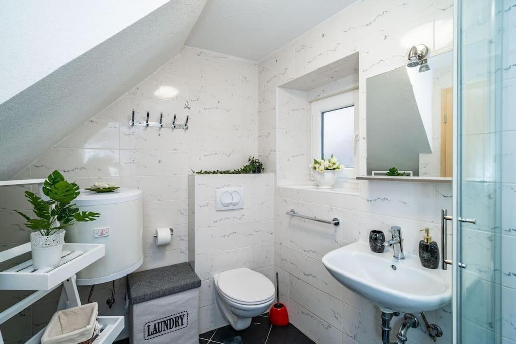 Apartament Plaza Royal In The Centre Dubrownik Zewnętrze zdjęcie